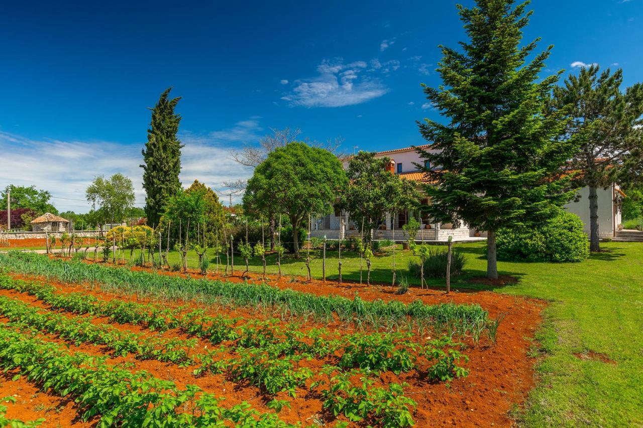 Apartmani Martina Porec Bagian luar foto
